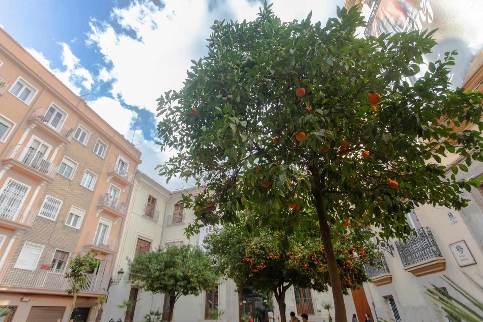 Vlc - Tranquilo Apartamento En Plaza Cisneros Valensiya Dış mekan fotoğraf