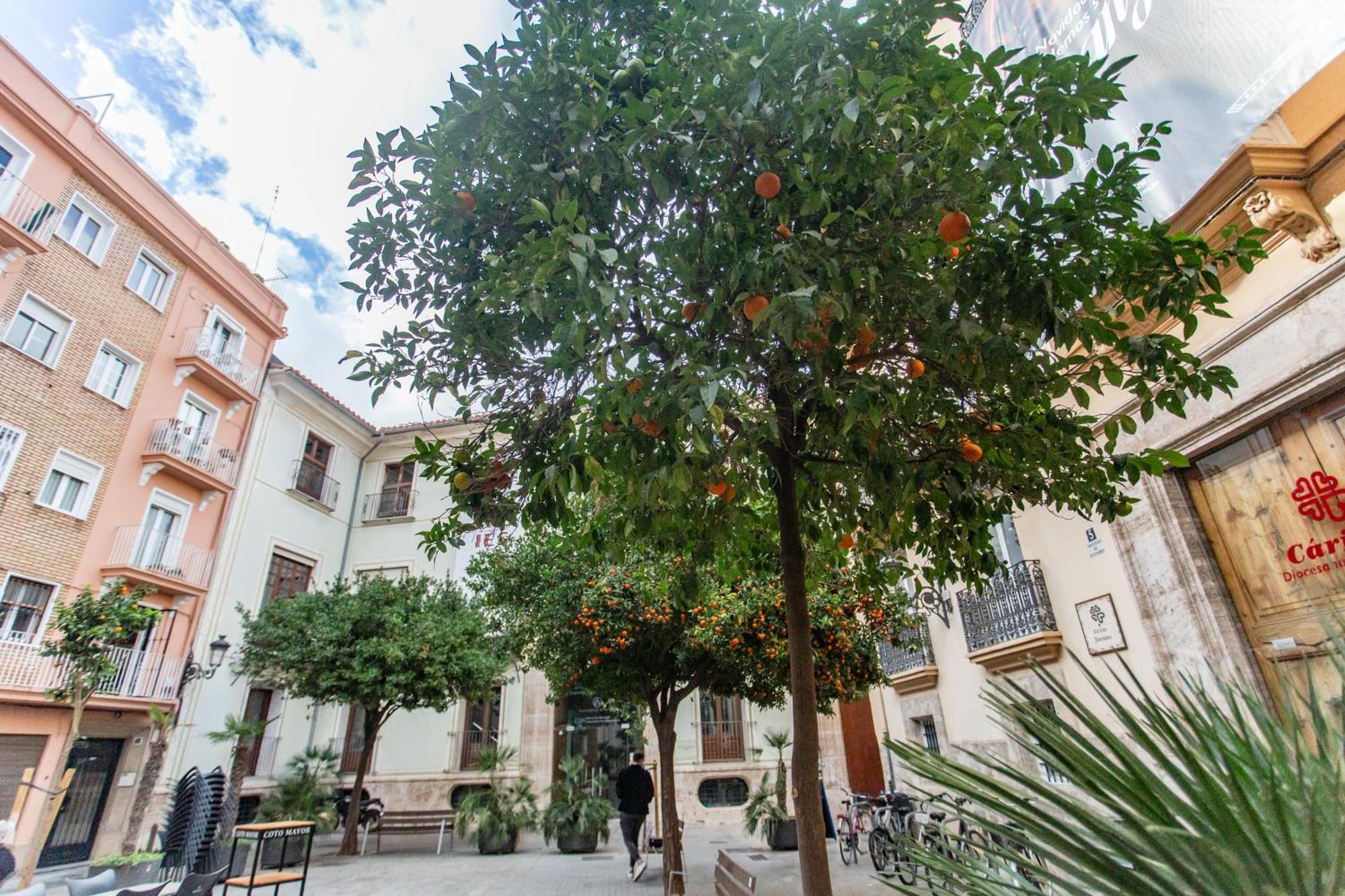 Vlc - Tranquilo Apartamento En Plaza Cisneros Valensiya Dış mekan fotoğraf